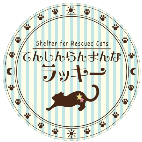 てんしんらんまんな☆ラッキー - 栃木県宇都宮市の保護猫団体 | neco